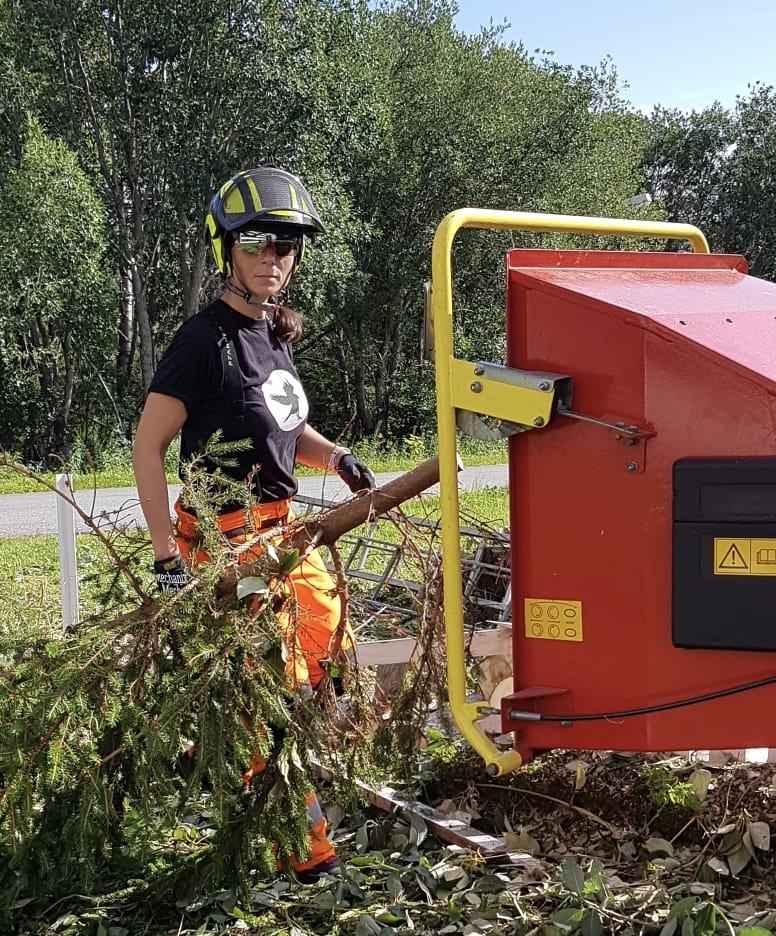 Arborist mater kvist inn i en rød flishugger