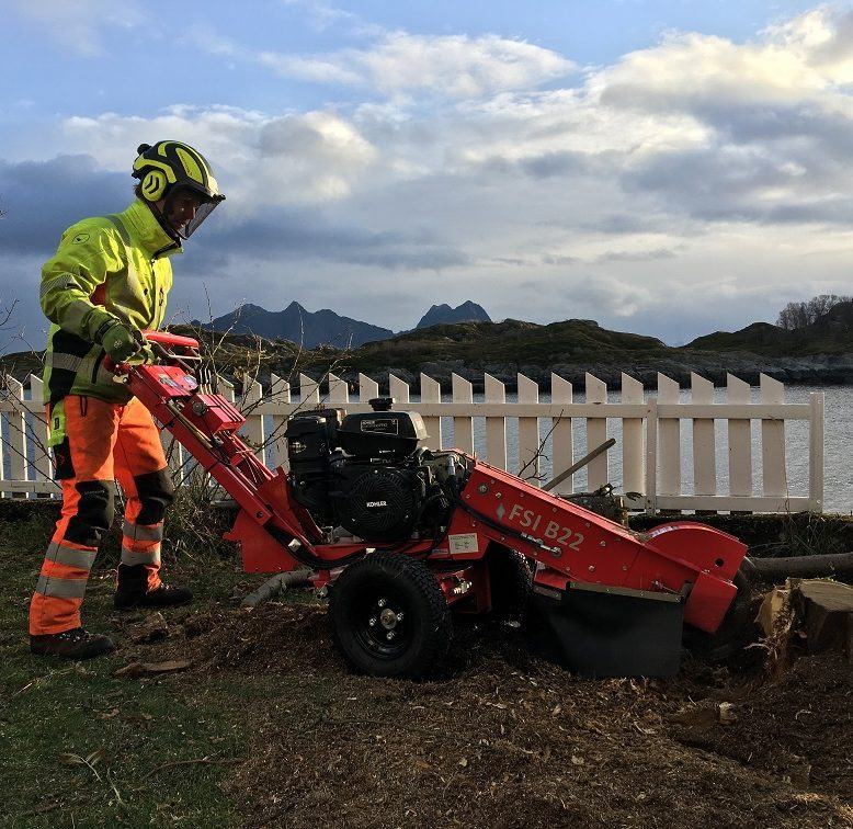 Arborist kjører stubbefres i en hage ved sjøen i høstsol
